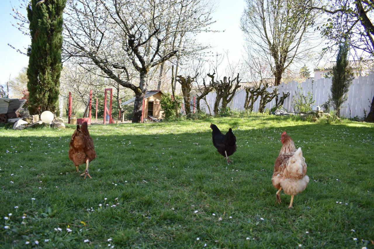 Vila Les Treillettes Puylaurens Exteriér fotografie